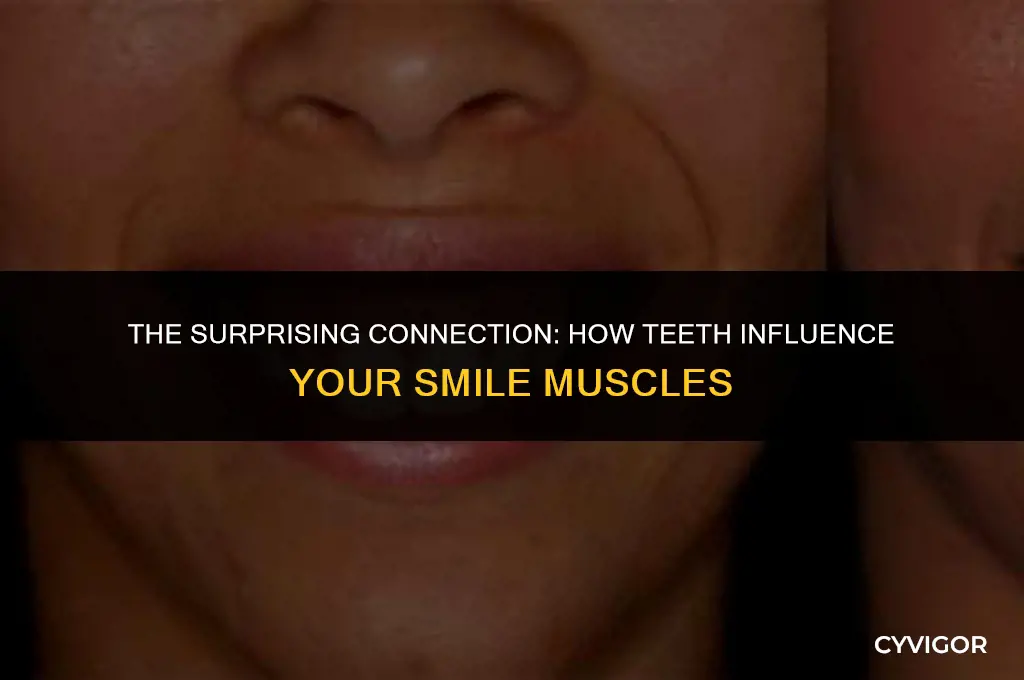 do teeth affect your smile muscles