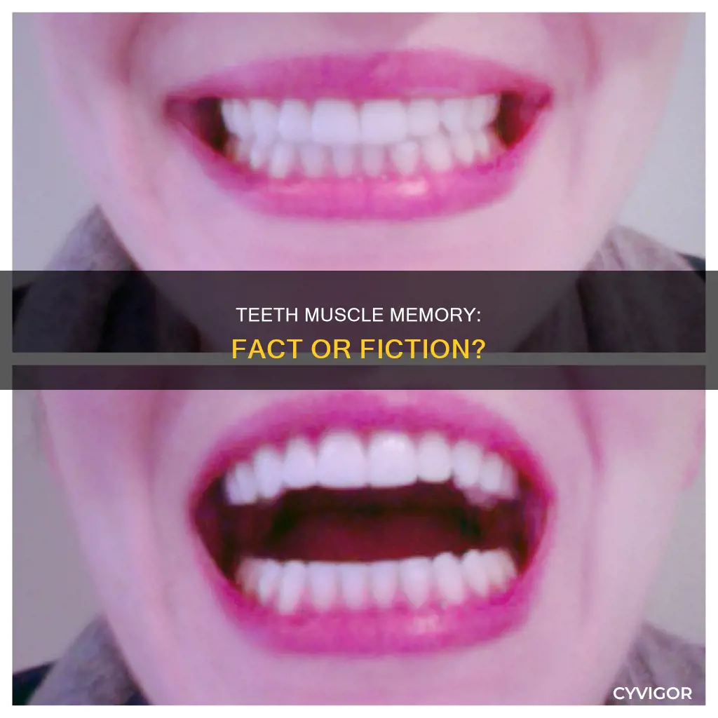 Teeth Muscle Memory: Fact Or Fiction? | CyVigor