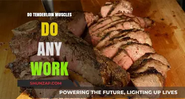 Do Tenderloin Muscles Contribute to Function or Just Flavor?