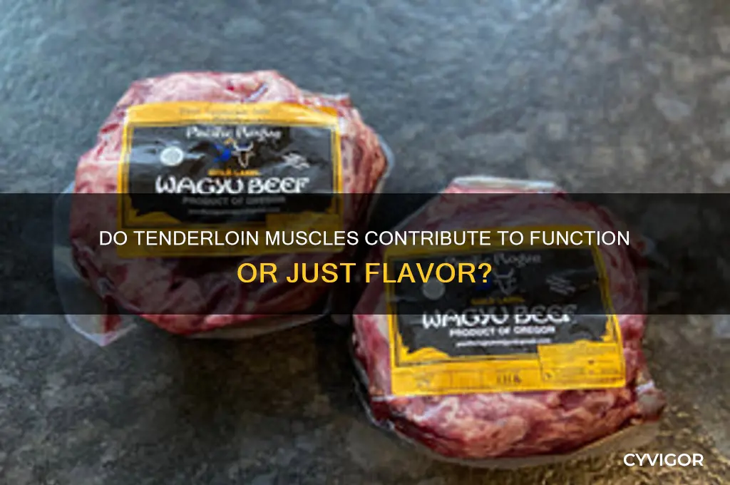 do tenderloin muscles do any work
