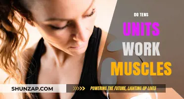 TENS Units and Muscle Work: Fact or Fiction?