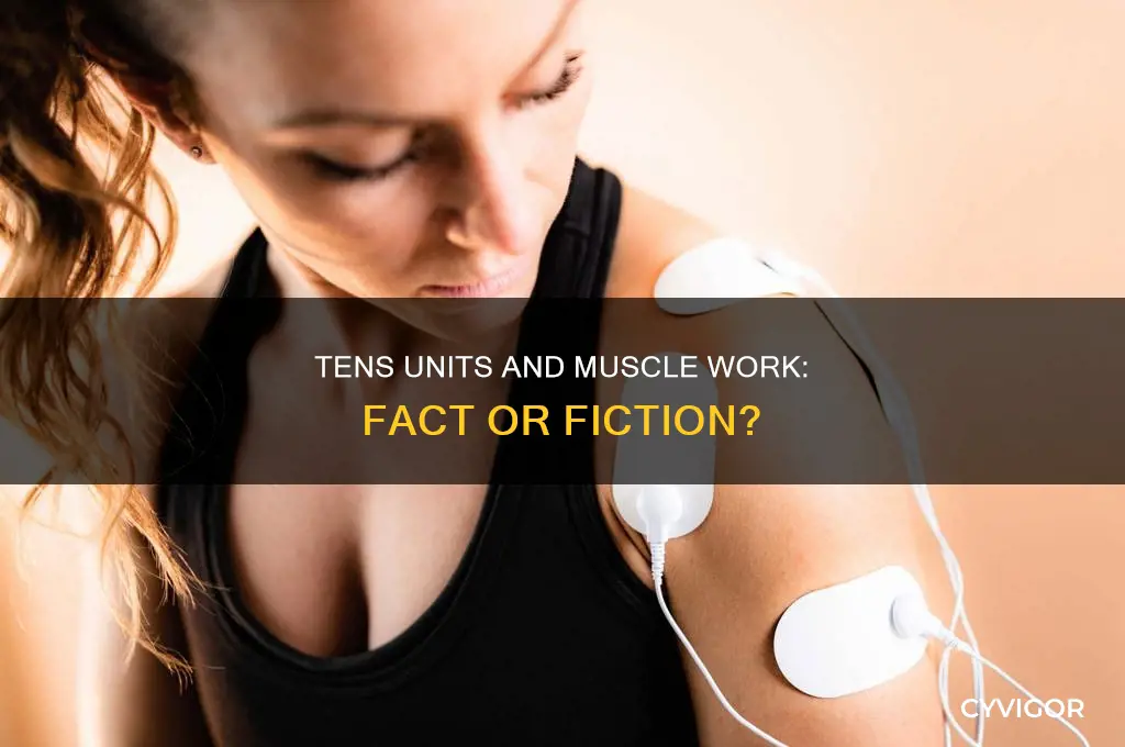 do tens units work muscles