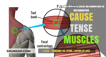 Muscle Tension and Inflammation: What's the Connection?