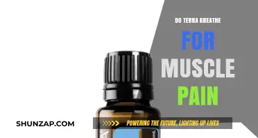 DoTerra Breathe Blend: Natural Relief for Muscle Pain and Soreness