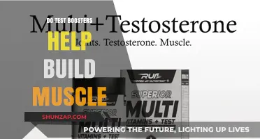 Unlocking Muscle Growth: The Truth About Test Boosters