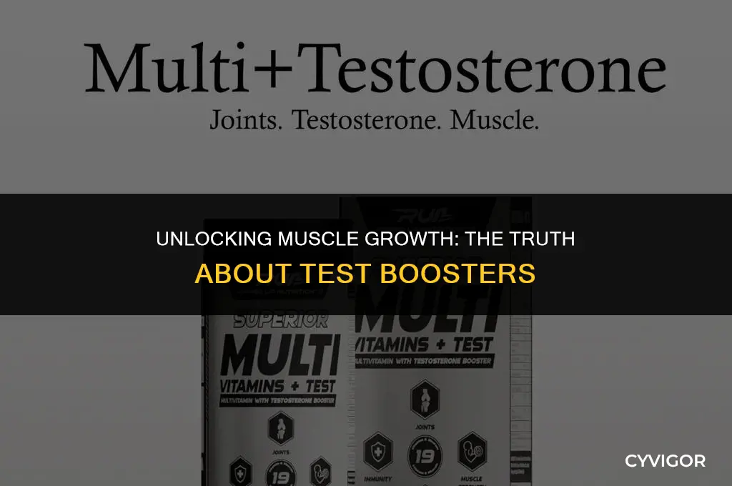 do test boosters help build muscle