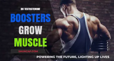 Testosterone Boosters and Muscle Growth: Fact or Fiction?