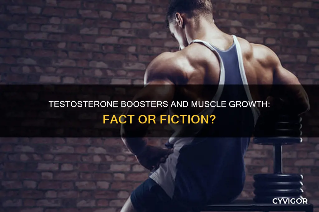 do testosterone boosters grow muscle