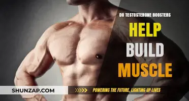 Unleashing Muscle Growth: The Truth About Testosterone Boosters