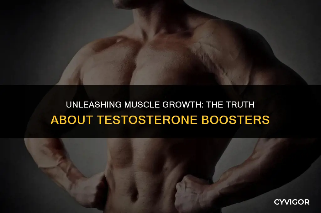 do testosterone boosters help build muscle