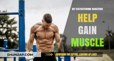 Testosterone Boosters and Muscle Gain: Fact or Fiction?