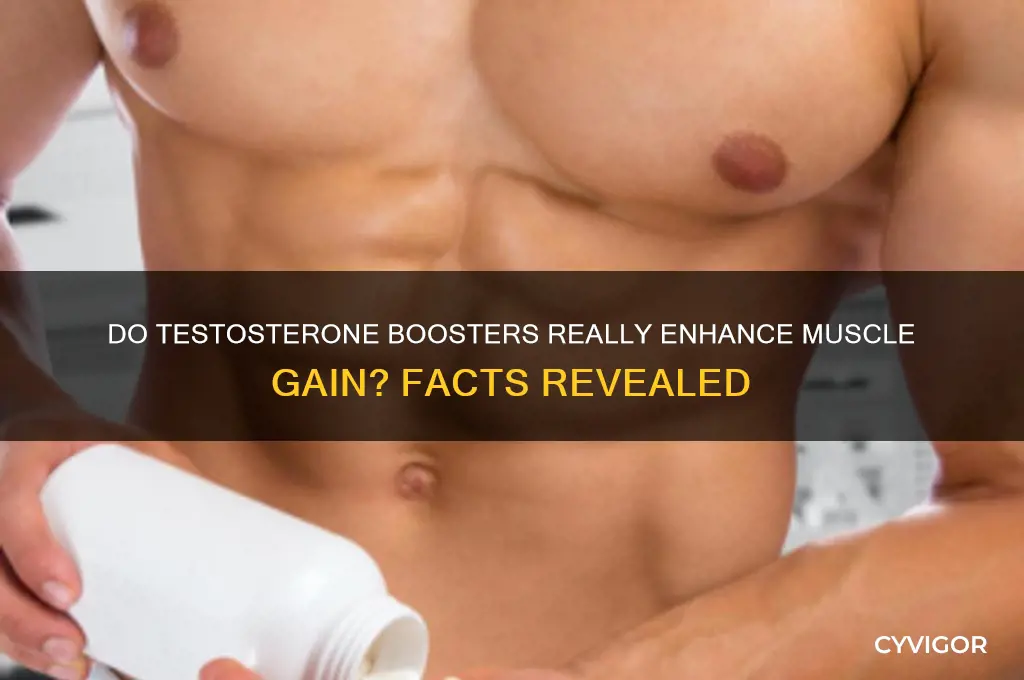 do testosterone boosters work for muscle gain