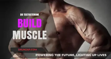 Unleashing Strength: The Truth About Testosterone and Muscle Building