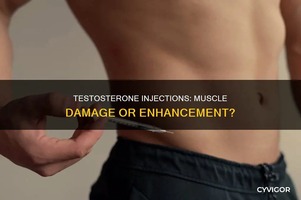 do testosterone injections damage muscle