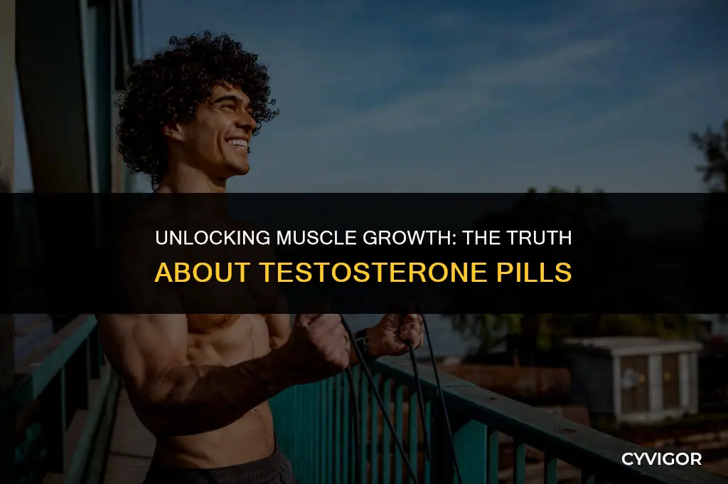 do testosterone pills help build muscle