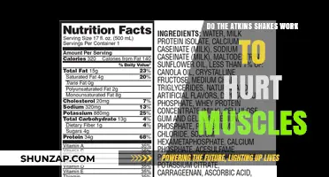 Atkins Shakes and Muscle Health: Debunking Myths and Facts
