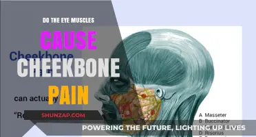 Eye Muscle Strain: A Culprit Behind Cheekbone Pain