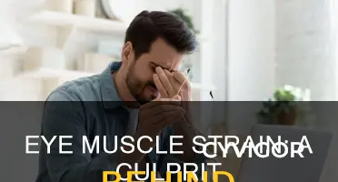 do the eye muscles cause cheekbone pain