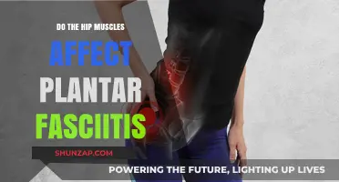 Exploring the Connection: Hip Muscles and Plantar Fasciitis