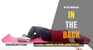 Strengthening Your Back Muscles: A Comprehensive Guide