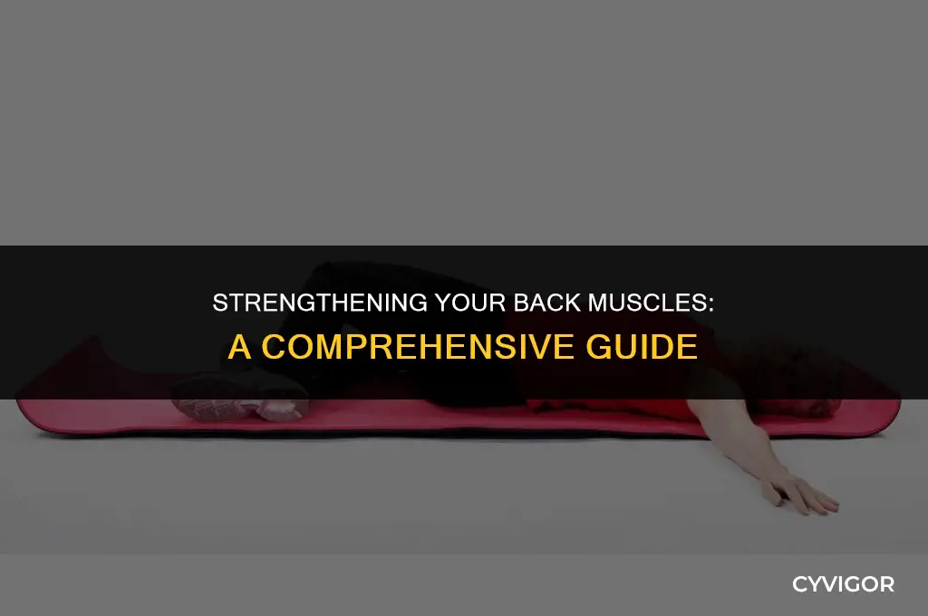 do the muscles in the back