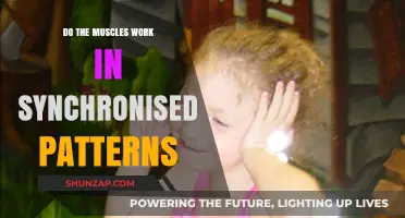 Synchronized Muscle Patterns: Unlocking the Secrets of Coordinated Movement