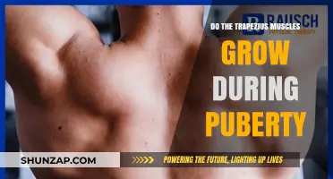 Trapezius Muscle Growth During Puberty: What Teens Need to Know