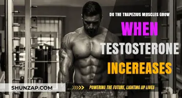 Testosterone's Impact: Does It Boost Trapezius Muscle Growth?