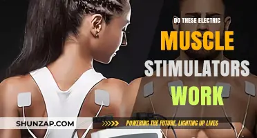 Electric Muscle Stimulators: Effective Fitness Tool or Just a Fad?