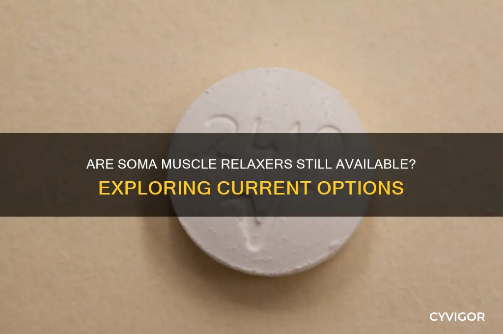 do they still make soma muscle relaxers