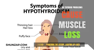 Thyroid Disorders: Can They Cause Muscle Loss?