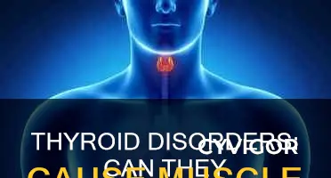 do thyroid problems cause muscle loss