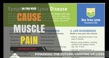 Tick Bites: Understanding Muscle Pain Causes