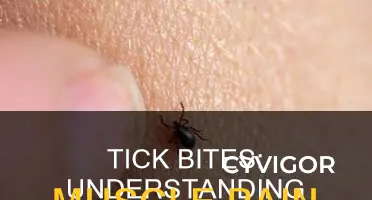 do tick bites cause muscle pain