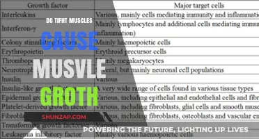 Tight Muscles: Friend or Foe for Muscle Growth?