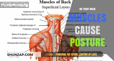 Tight Back Muscles: Posture's Impact and Causes