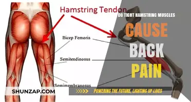 Tight Hamstrings: The Surprising Cause of Your Back Pain?