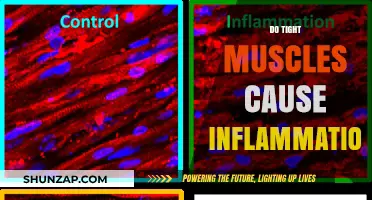Tight Muscles: Inflammation Cause or Effect?