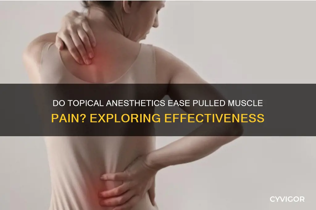 do topical anesthetics work for pulled muscles