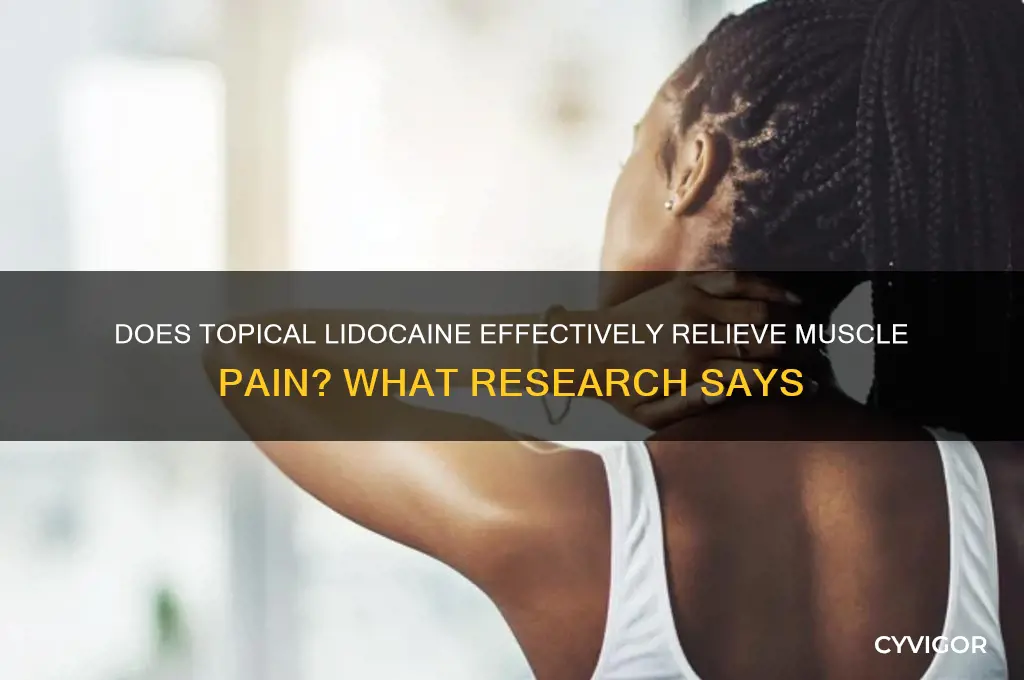 do topical lidocaine work for muscle pain