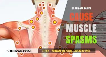 Trigger Points and Muscle Spasms: What's the Link?