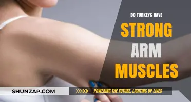 Turkey Anatomy: Unveiling the Truth About Their Arm Muscle Strength