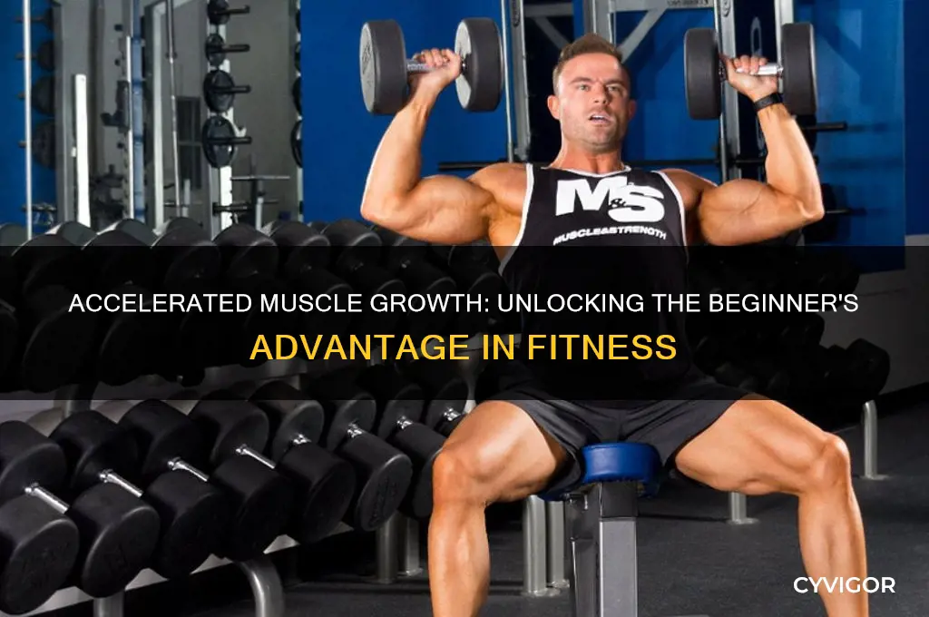 do u gain muscle faster when u begin working out