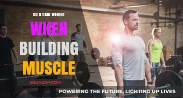 Muscle Building and Weight Gain: Understanding the Connection