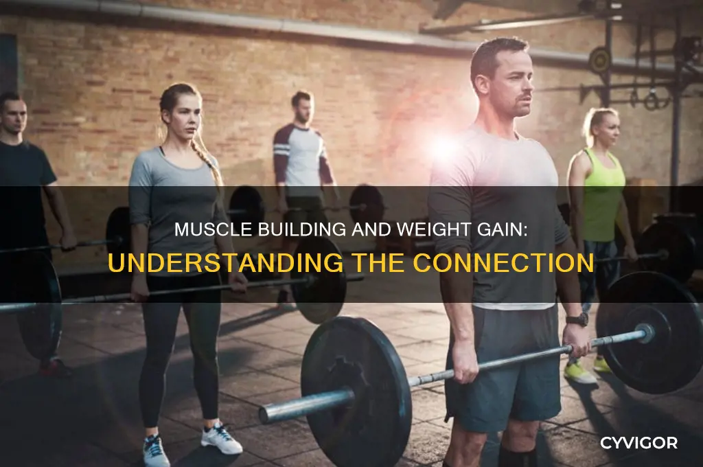 do u gain weight when building muscle