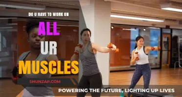 Full-Body Fitness: Do You Need to Train Every Muscle?