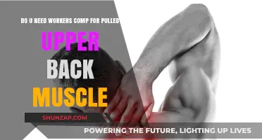 Pulled Upper Back Muscle: Workers' Comp Requirements Explained