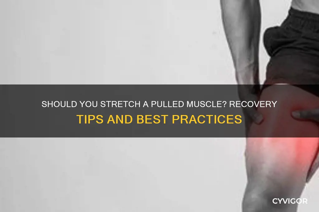 do u stretch a pulled muscle