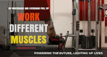 Underhand vs. Overhand Pull-Ups: Which Muscles Do They Target Differently?
