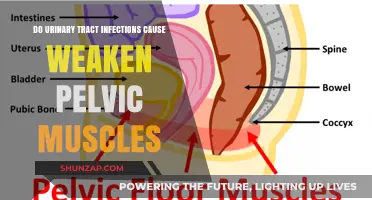 Pelvic Floor Muscles: UTIs and Their Impact